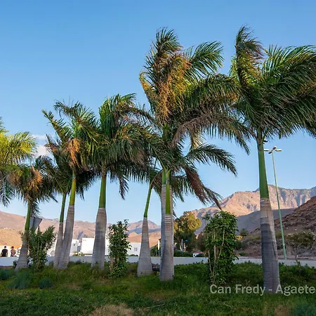 Fredy - Private Agaete Appartement Agaete (Gran Canaria)